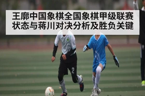 王廓中国象棋全国象棋甲级联赛状态与蒋川对决分析及胜负关键 - CS2